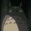 vvalfie member profile picture