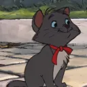norbertblackcat