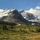 wanderingaurora