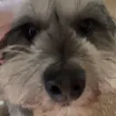 capta1nsnack