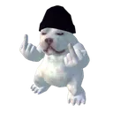 serpa