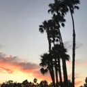 10aciousdee