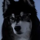 smilepuppy.jpeg