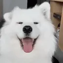 Ciosa's Avatar