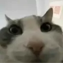 bytim0