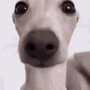 ghostboy_69
