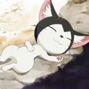 numa_taro