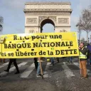 renardjaune_