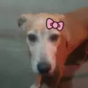 miquelrss