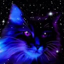 uberkater