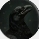 mitra.4879