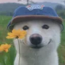 voidrift_