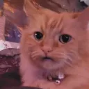datboiwubsy