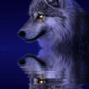 wulfur59