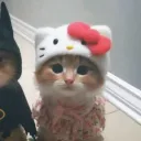 naqilovesu