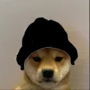 sttijn