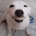 alexei_tex