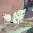 avatar PussyCat.🦈