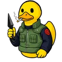oddducktv