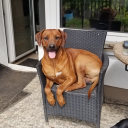 avatar JuuzouTh3Re4per