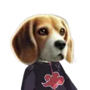 zasubeast