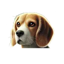 zasubeast