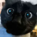 mine_loll