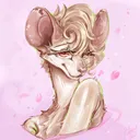dakota_1153