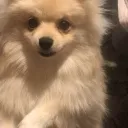 sexyserge