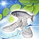 .fishbloop
