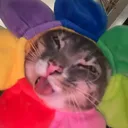 frostysnowie_