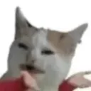 c4tranger