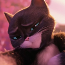 avatar Señor Gato