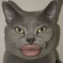 nuxll_112