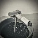 theonlypoop