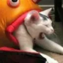 itsskyboy