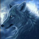 avatar Malikite 🐺🌕