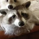 _storx_