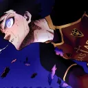 theninjaroid