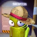 sireoptera