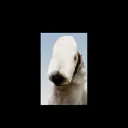 s4_yfdhkjbb_lnu_pcm.m3.5hzvv_te.