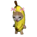 boots_