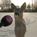 delolio#4083's avatar