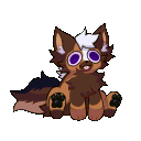lucisheppy