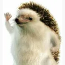 3z3z3 avatar