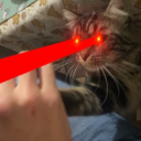 avatar Yziʕ˶•-•˵ིྀʔ