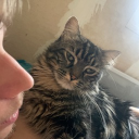 avatar Yziʕ˶•-•˵ིྀʔ