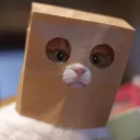 laudadash