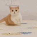 mespi