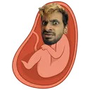 vikarworld